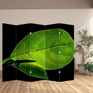 Paravan - Frunză verde (210x170 cm)