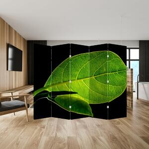 Paravan - Frunză verde (210x170 cm)