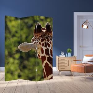 Paravan - Girafă din spate (126x170 cm)