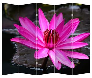 Paravan - Floarea roz (210x170 cm)