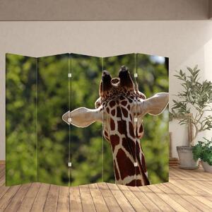 Paravan - Girafă din spate (210x170 cm)
