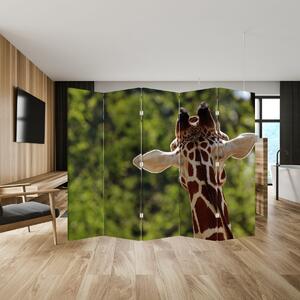 Paravan - Girafă din spate (210x170 cm)