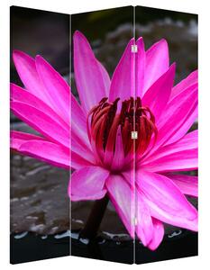 Paravan - Floarea roz (126x170 cm)
