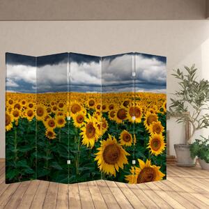 Paravan - Câmpul de floarea soarelui (210x170 cm)