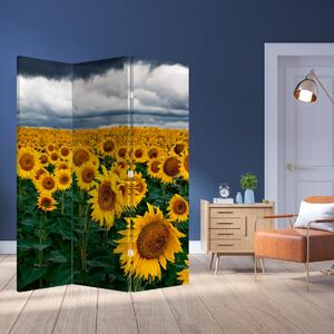 Paravan - Câmpul de floarea soarelui (126x170 cm)