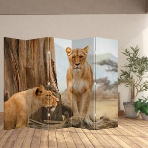Paravan - Două leoaice (210x170 cm)