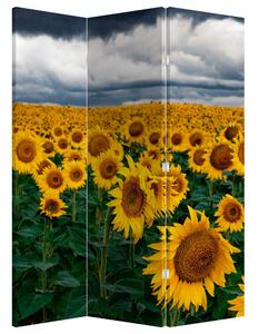 Paravan - Câmpul de floarea soarelui (126x170 cm)