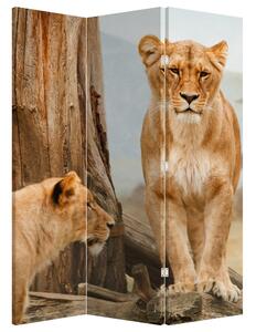Paravan - Două leoaice (126x170 cm)