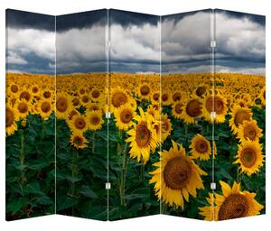 Paravan - Câmpul de floarea soarelui (210x170 cm)