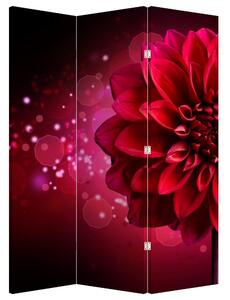 Paravan - Floare roșie (126x170 cm)
