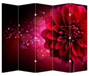 Paravan - Floare roșie (210x170 cm)