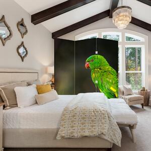Paravan - Papagal pe greangă (126x170 cm)