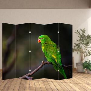 Paravan - Papagal pe greangă (210x170 cm)