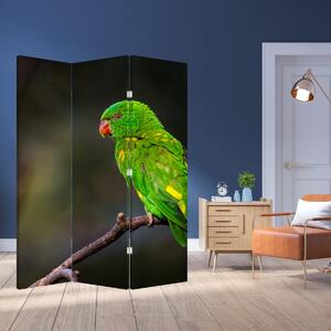 Paravan - Papagal pe greangă (126x170 cm)