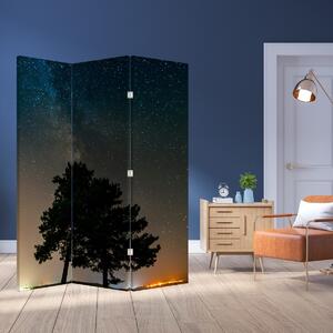 Paravan - Cerul nocturn și copaci (126x170 cm)