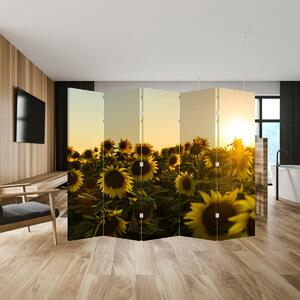 Paravan - Lan de floarea soarelui (210x170 cm)