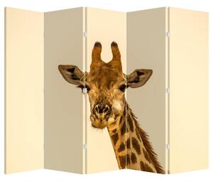 Paravan - Girafe (210x170 cm)