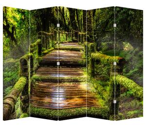 Paravan - Scări într-o pădure tropicală (210x170 cm)