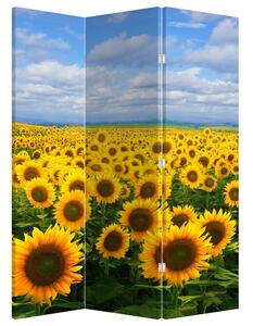 Paravan - Lan de floarea soarelui (126x170 cm)