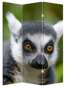 Paravan - Lemur (126x170 cm)