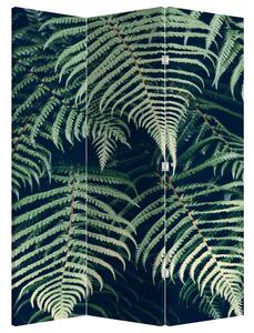 Paravan - Frunze de ferigă (126x170 cm)