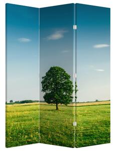 Paravan - Copaci pe luncă (126x170 cm)