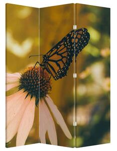 Paravan - Fluture pe floare (126x170 cm)