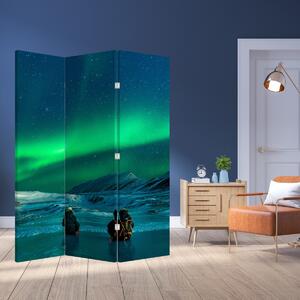 Paravan - Oameni la Aurora borealis (126x170 cm)