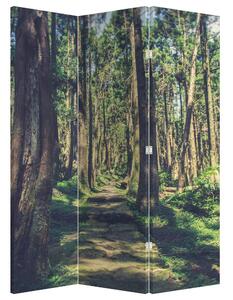 Paravan - Drum între copaci (126x170 cm)