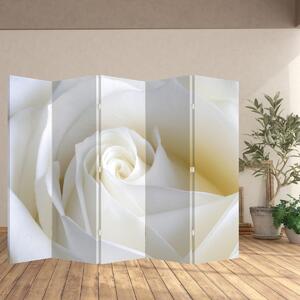 Paravan - Trandafir alb (210x170 cm)