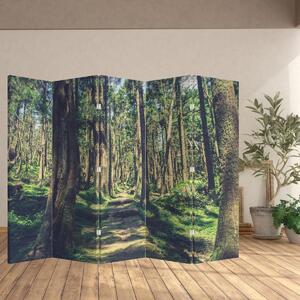 Paravan - Drum între copaci (210x170 cm)