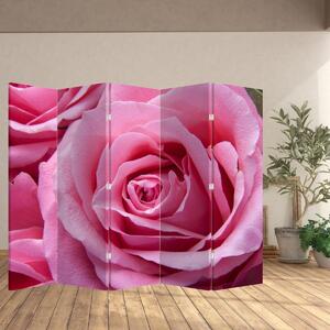 Paravan - Trandafir (210x170 cm)