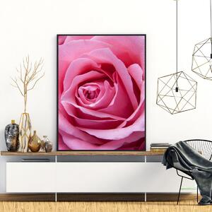 Poster - Trandafir roz (A4)