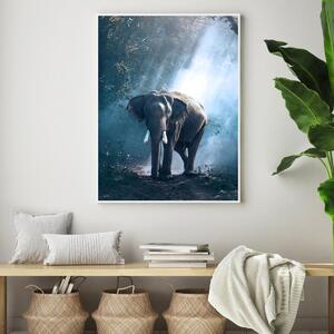 Poster - Elefant în junglă (A4)