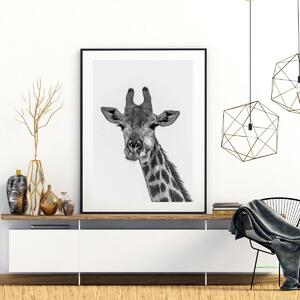 Poster - Girafa (A4)