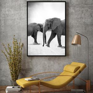 Poster - Elefanții venind inainte (A4)