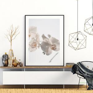 Poster - Orhidee albă (A4)