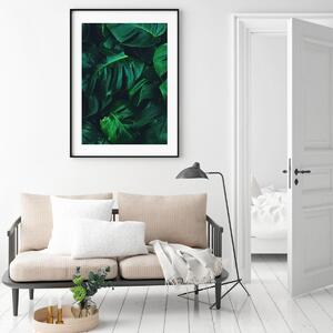 Poster - Monstera (A4)