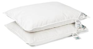 Set 2 perne puf si pana de rata 50x70 Cm
