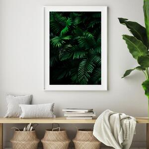 Poster - Jungla cu palmieri (A4)