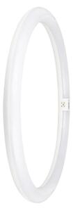 Tub LED fluorescent Osram G10q/24W/230V 6500K