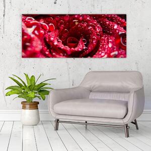 Tablou cu floarea trandafirului roșu (120x50 cm)