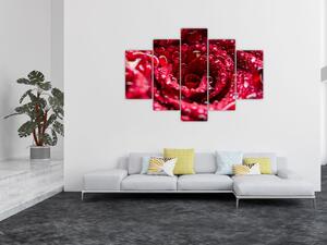 Tablou cu floarea trandafirului roșu (150x105 cm)