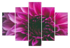 Tablou cu floarea roz (150x105 cm)