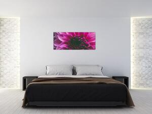 Tablou cu floarea roz (120x50 cm)
