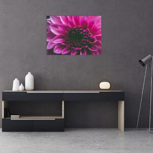 Tablou cu floarea roz (70x50 cm)