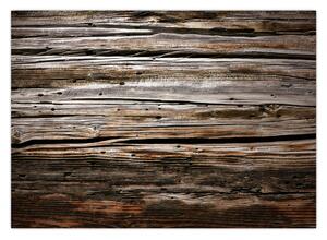 Tablou - lemnele de sezon (70x50 cm)
