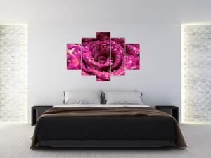 Tabloul cu floarea trandafirului roz (150x105 cm)