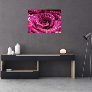Tabloul cu floarea trandafirului roz (70x50 cm)
