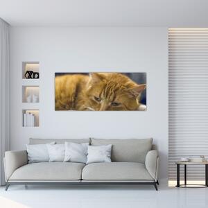Tabloul pisicii (120x50 cm)
